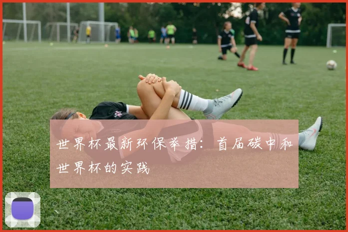 世界杯最新环保举措：首届碳中和世界杯的实践